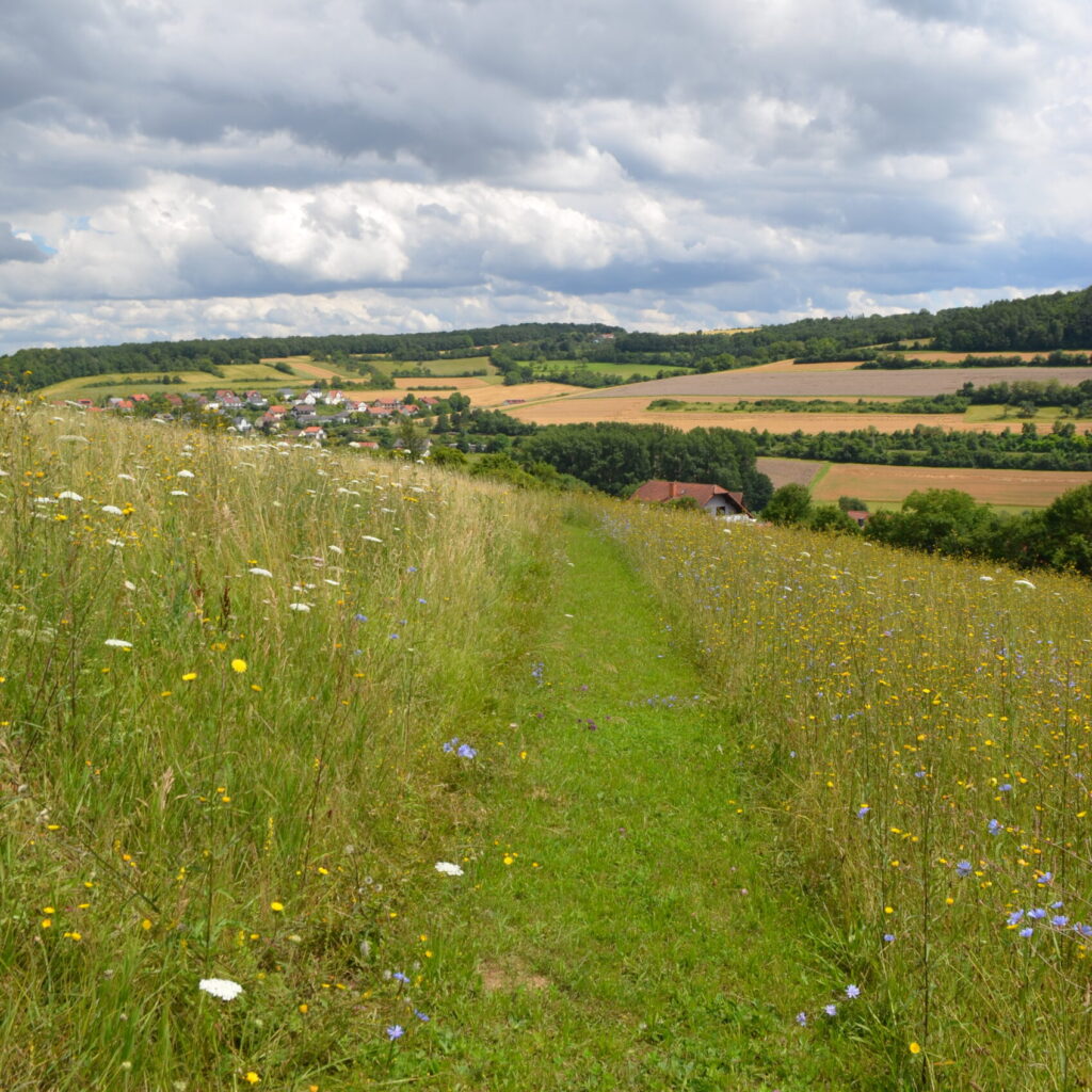 Landschaft im Werntal in Unterfranken